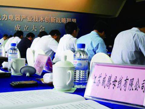 利国娱乐国际老牌w66母线加入江苏省电力电器工业手艺立异战略同盟