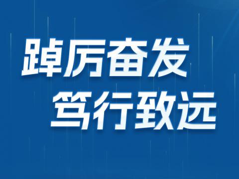 一图读懂利国娱乐国际老牌w66电气2024年半年报