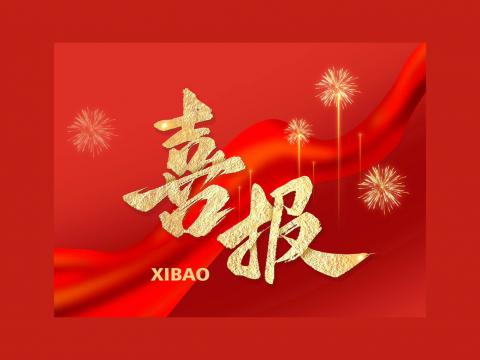 利国娱乐国际老牌w66电气顺遂告竣乌兹别克斯坦智算中心项目相助
